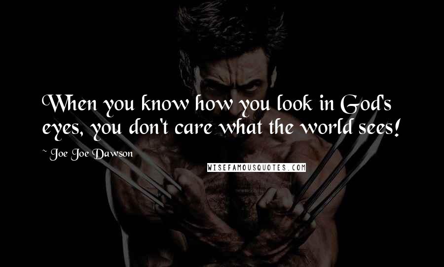 Joe Joe Dawson quotes: When you know how you look in God's eyes, you don't care what the world sees!