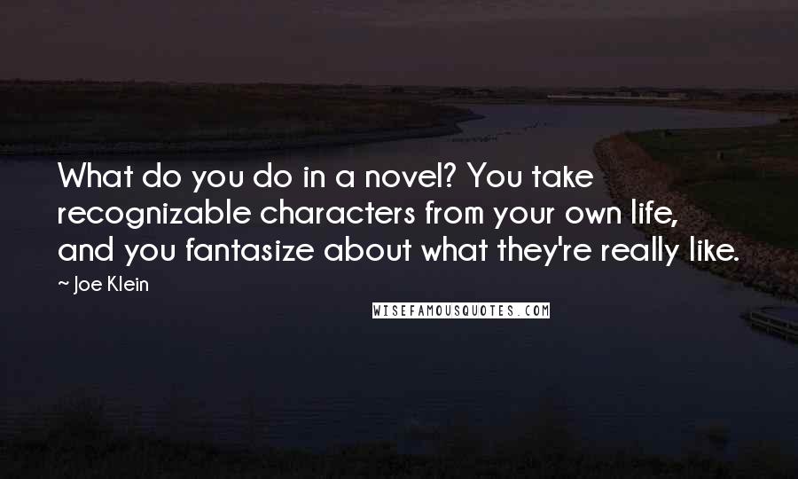 Joe Klein quotes: What do you do in a novel? You take recognizable characters from your own life, and you fantasize about what they're really like.