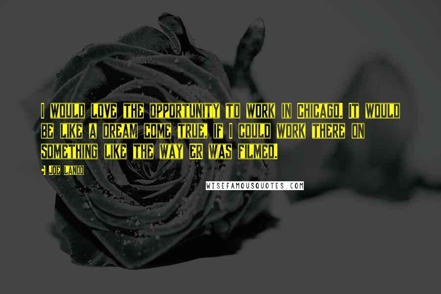 Joe Lando quotes: I would love the opportunity to work in Chicago. It would be like a dream come true, if I could work there on something like the way ER was filmed.
