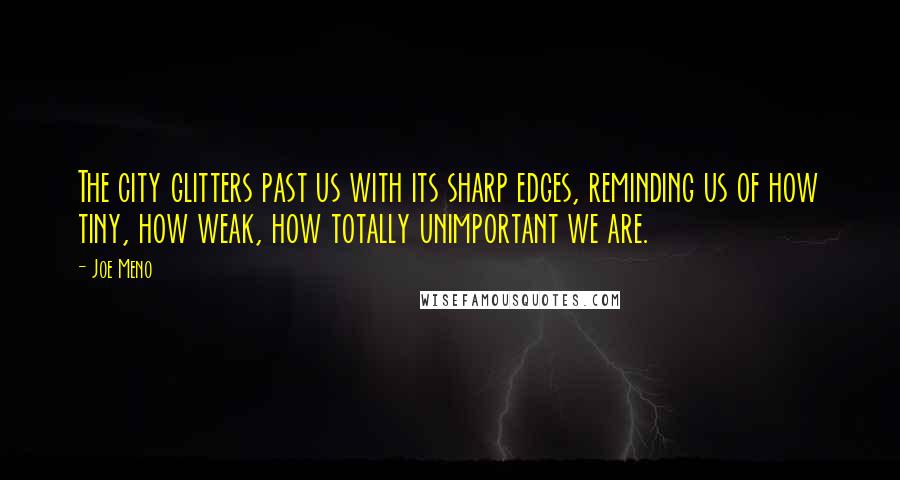 Joe Meno quotes: The city glitters past us with its sharp edges, reminding us of how tiny, how weak, how totally unimportant we are. Joe Meno quotes: The city glitters past us with its sharp edges, reminding us of how tiny, how weak, how totally unimportant we are.