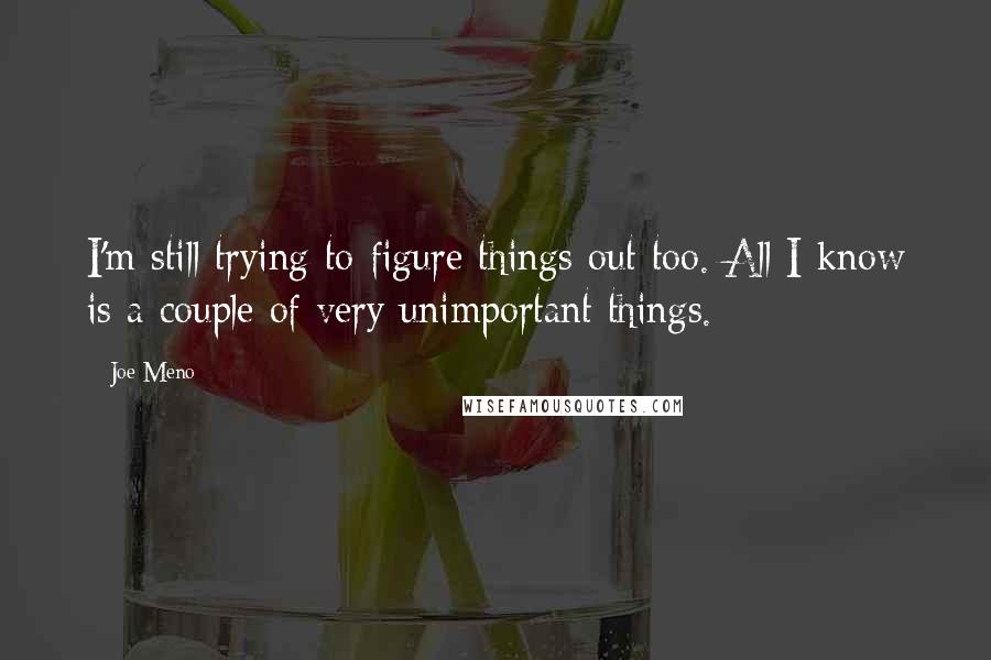 Joe Meno quotes: I'm still trying to figure things out too. All I know is a couple of very unimportant things.