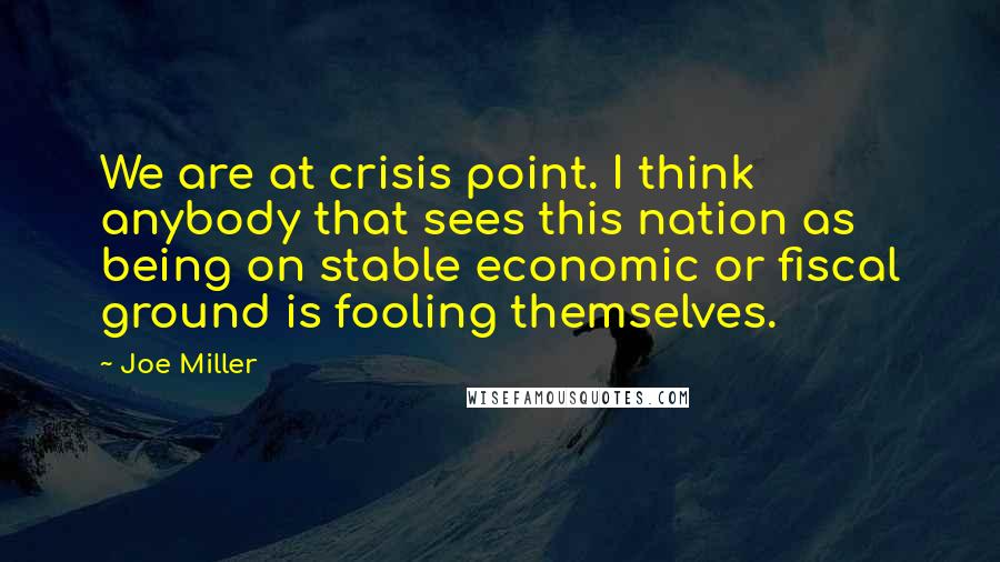 Joe Miller quotes: We are at crisis point. I think anybody that sees this nation as being on stable economic or fiscal ground is fooling themselves.