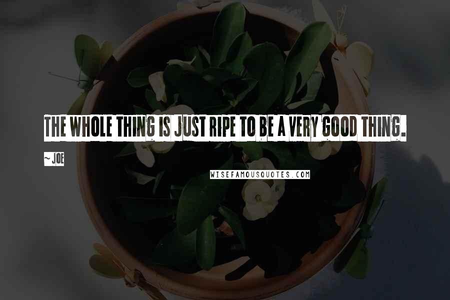Joe quotes: The whole thing is just ripe to be a very good thing.