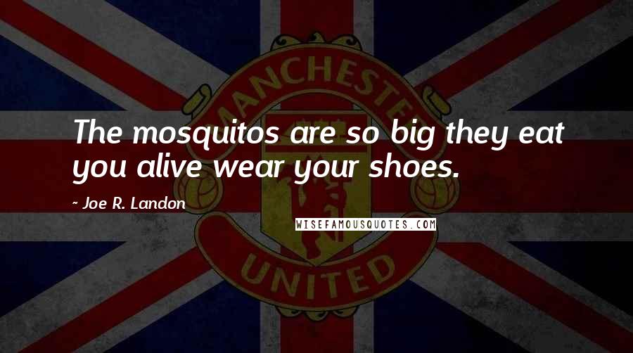 Joe R. Landon quotes: The mosquitos are so big they eat you alive wear your shoes.