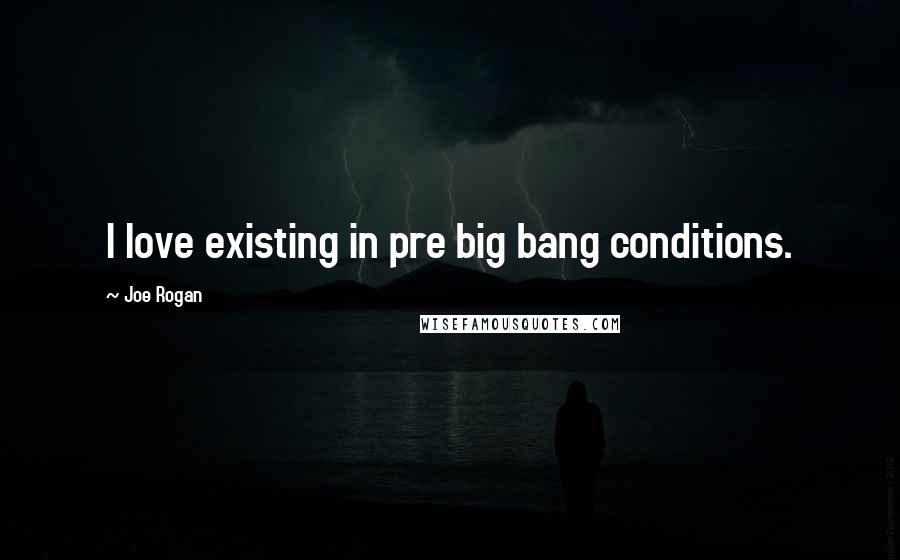 Joe Rogan quotes: I love existing in pre big bang conditions.
