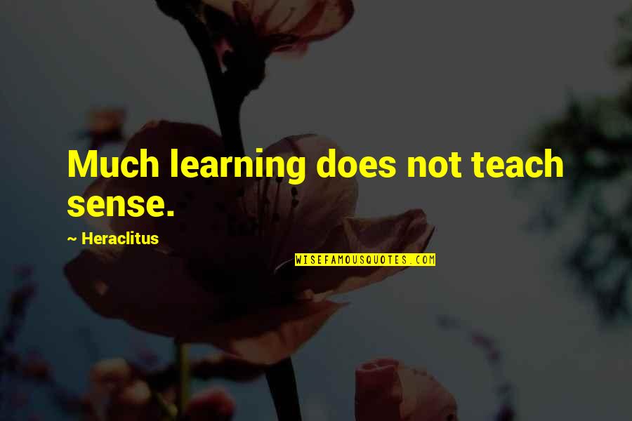 Joe Sabah Quotes By Heraclitus: Much learning does not teach sense.