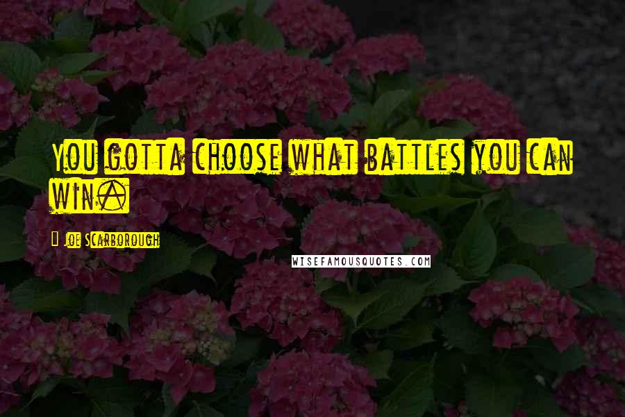 Joe Scarborough quotes: You gotta choose what battles you can win.