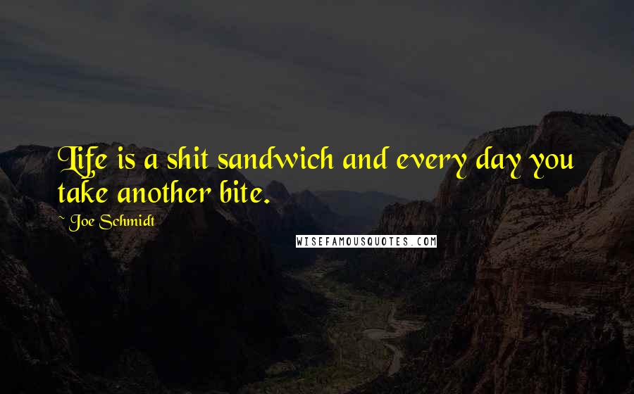 Joe Schmidt quotes: Life is a shit sandwich and every day you take another bite.