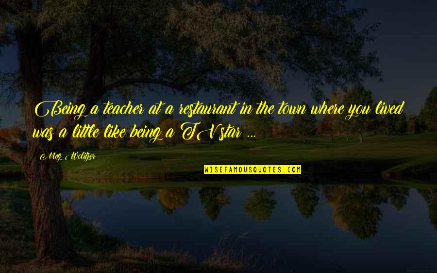 Joe Strummer Political Quotes By Meg Wolitzer: Being a teacher at a restaurant in the