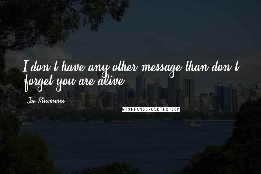 Joe Strummer quotes: I don't have any other message than don't forget you are alive