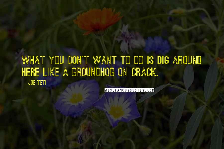 Joe Teti quotes: What you don't want to do is dig around here like a groundhog on crack.