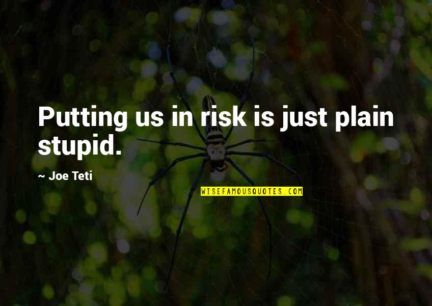 Joe Teti Quotes By Joe Teti: Putting us in risk is just plain stupid.