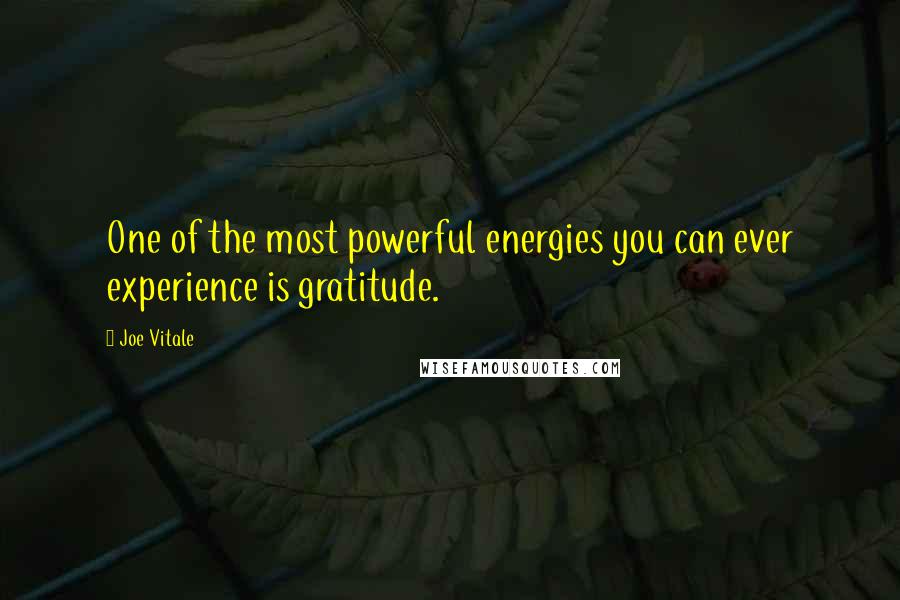Joe Vitale quotes: One of the most powerful energies you can ever experience is gratitude.