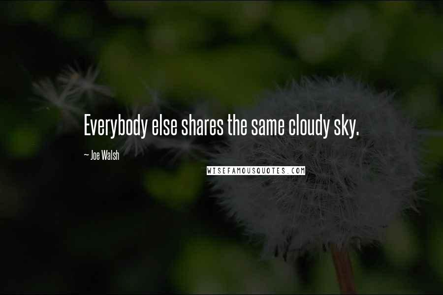 Joe Walsh quotes: Everybody else shares the same cloudy sky.