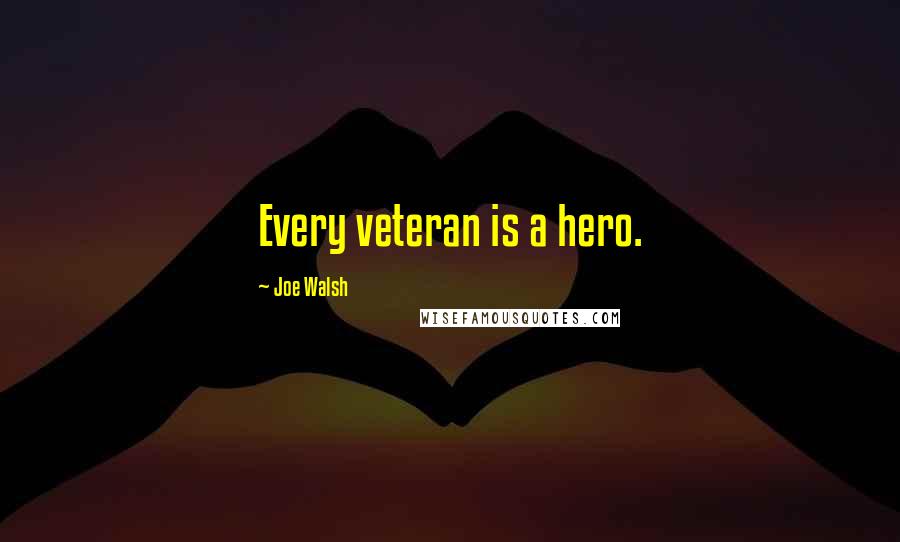 Joe Walsh quotes: Every veteran is a hero.