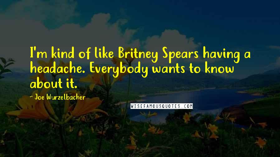 Joe Wurzelbacher quotes: I'm kind of like Britney Spears having a headache. Everybody wants to know about it.