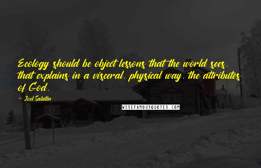 Joel Salatin quotes: Ecology should be object lessons that the world sees, that explains in a visceral, physical way, the attributes of God.