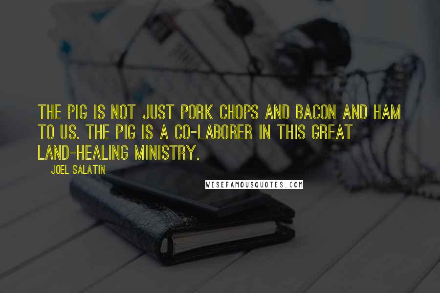 Joel Salatin quotes: The pig is not just pork chops and bacon and ham to us. The pig is a co-laborer in this great land-healing ministry.