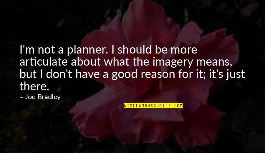 Joe's Quotes By Joe Bradley: I'm not a planner. I should be more