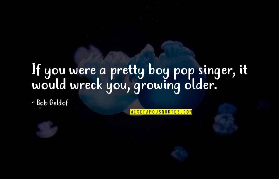 Joey Graceffa Don't Wait Quotes By Bob Geldof: If you were a pretty boy pop singer,