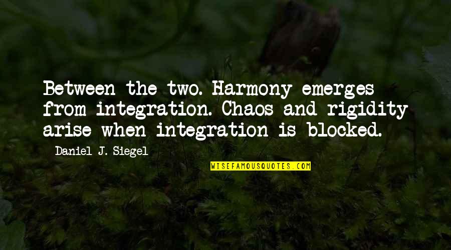 Jogatina Quotes By Daniel J. Siegel: Between the two. Harmony emerges from integration. Chaos