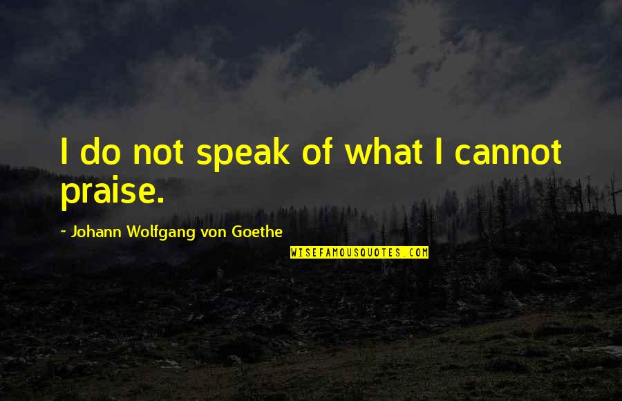 Johann Goethe Quotes By Johann Wolfgang Von Goethe: I do not speak of what I cannot