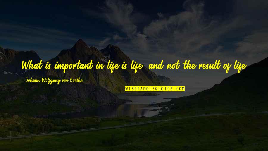 Johann Goethe Quotes By Johann Wolfgang Von Goethe: What is important in life is life, and