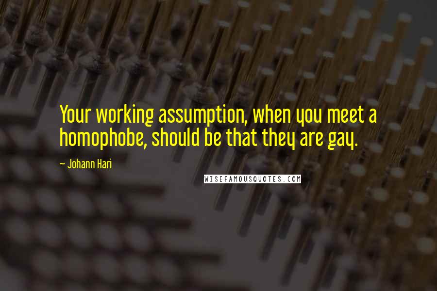 Johann Hari quotes: Your working assumption, when you meet a homophobe, should be that they are gay.