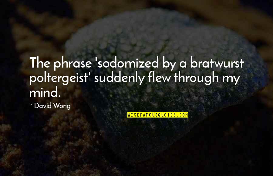 Johann Pestalozzi Quotes By David Wong: The phrase 'sodomized by a bratwurst poltergeist' suddenly