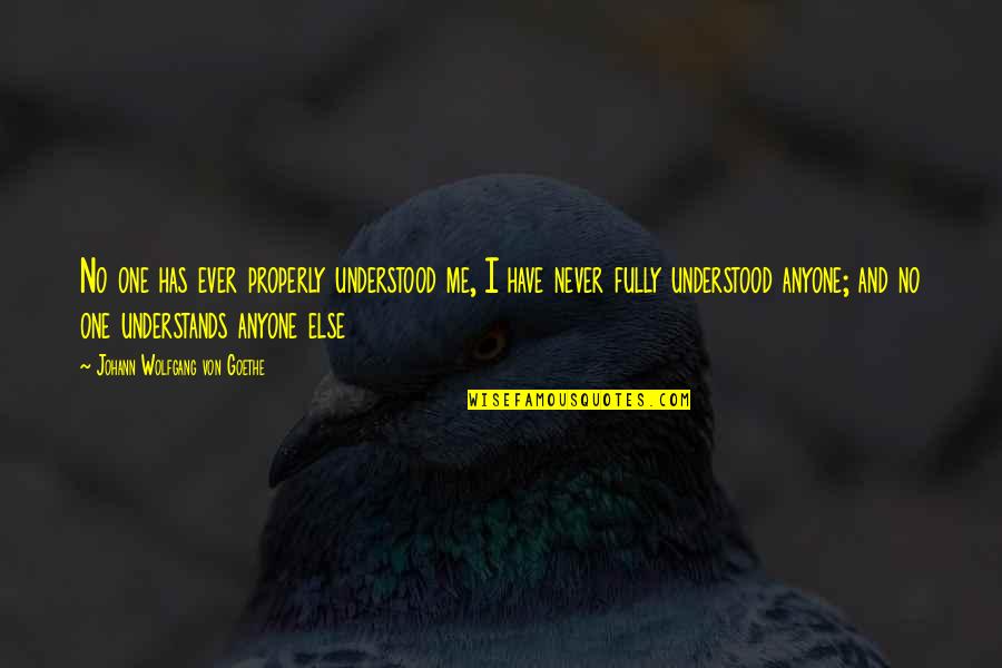 Johann Quotes By Johann Wolfgang Von Goethe: No one has ever properly understood me, I Johann Quotes By Johann Wolfgang Von Goethe: No one has ever properly understood me, I