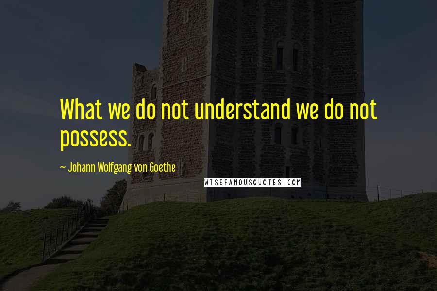 Johann Wolfgang Von Goethe quotes: What we do not understand we do not possess.