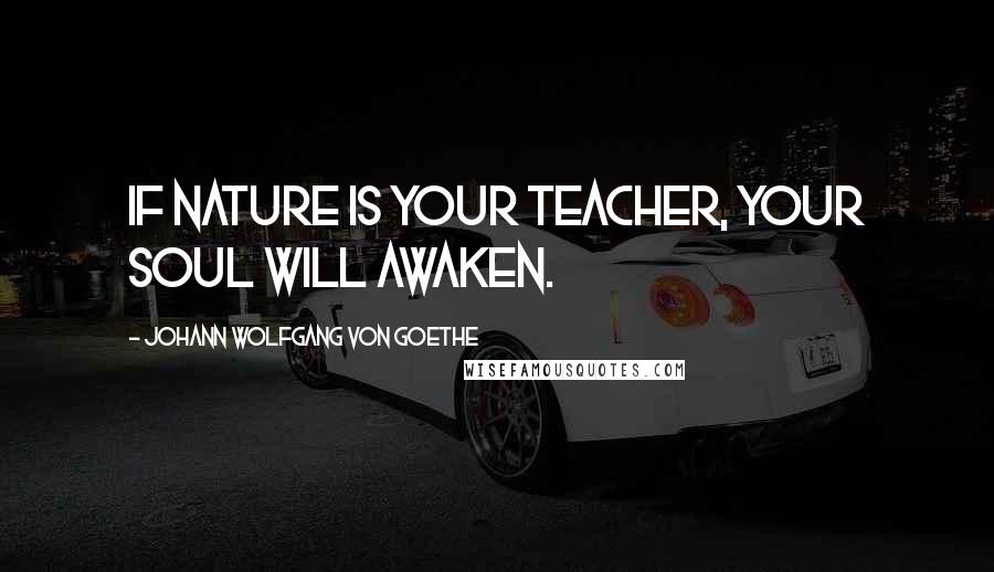 Johann Wolfgang Von Goethe quotes: If nature is your teacher, your soul will awaken. Johann Wolfgang Von Goethe quotes: If nature is your teacher, your soul will awaken.