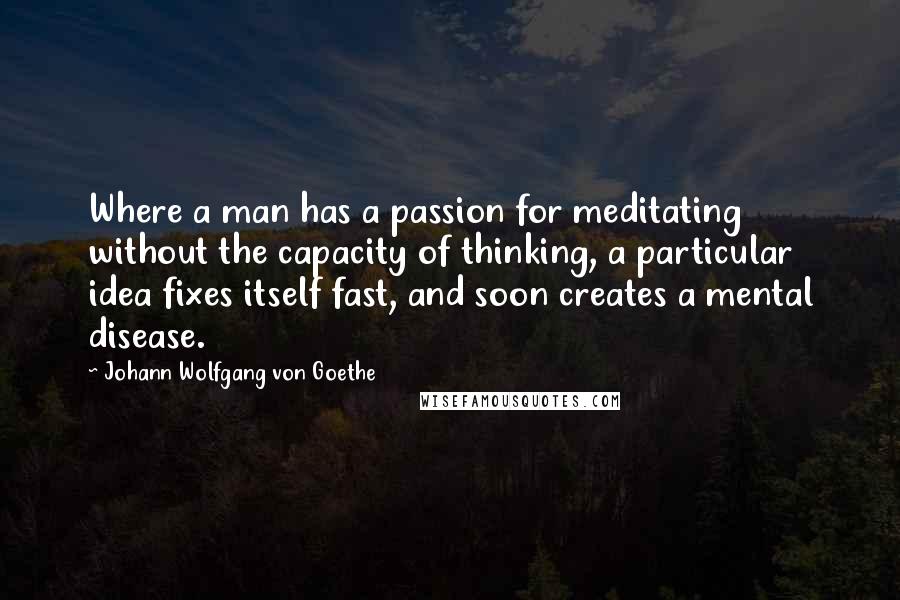 Johann Wolfgang Von Goethe quotes: Where a man has a passion for meditating without the capacity of thinking, a particular idea fixes itself fast, and soon creates a mental disease.