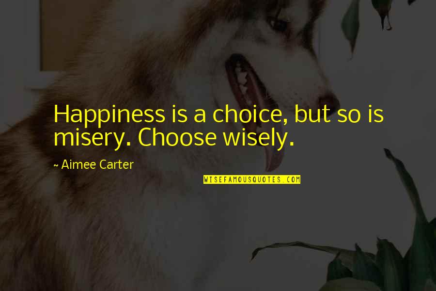 Johannan Tate Quotes By Aimee Carter: Happiness is a choice, but so is misery.