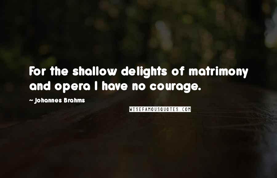 Johannes Brahms quotes: For the shallow delights of matrimony and opera I have no courage.