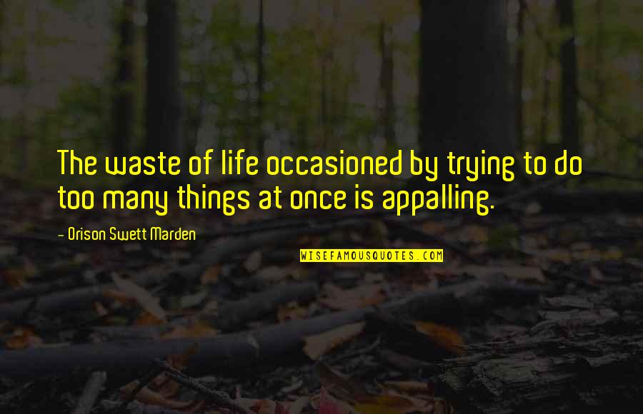Johannes Itten Quotes By Orison Swett Marden: The waste of life occasioned by trying to