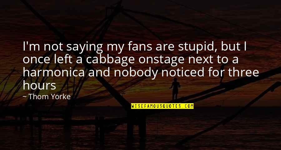 Johannesburg City Parks Quotes By Thom Yorke: I'm not saying my fans are stupid, but