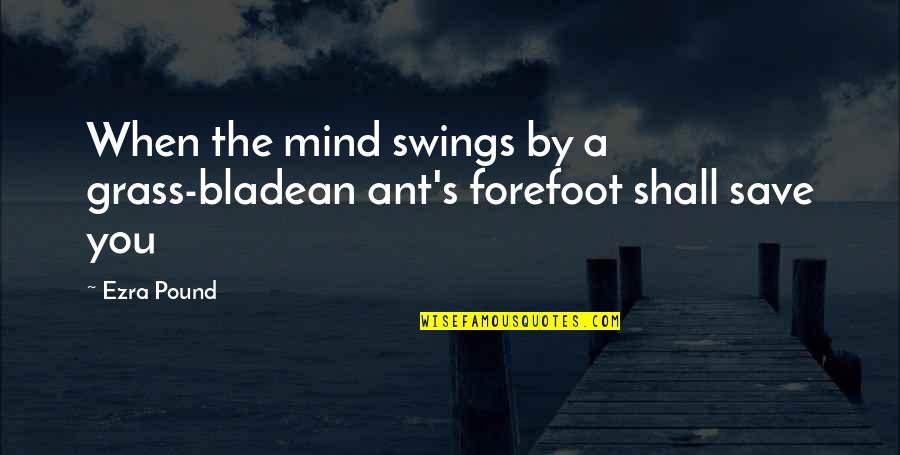 Johanneth Quotes By Ezra Pound: When the mind swings by a grass-bladean ant's