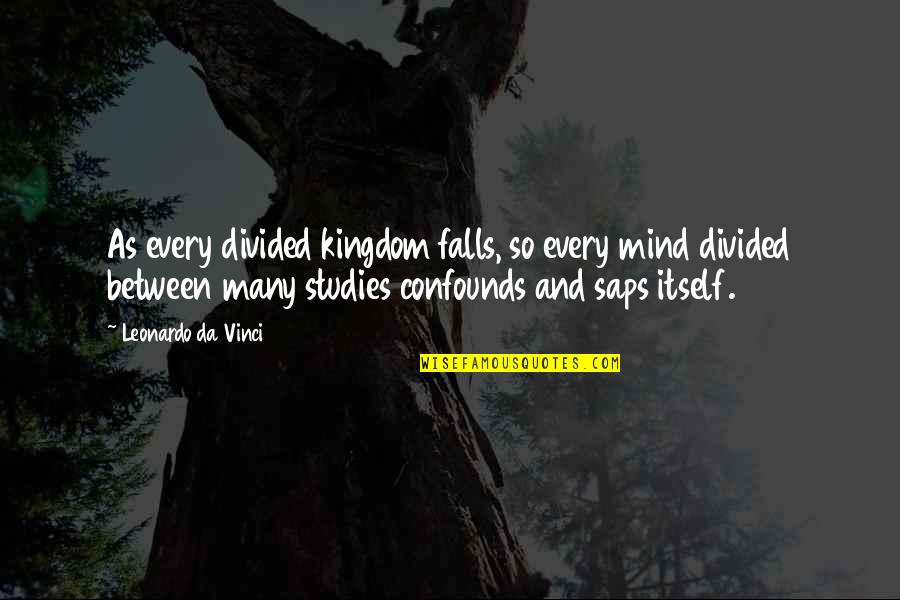 Johayne Carty Cabey Quotes By Leonardo Da Vinci: As every divided kingdom falls, so every mind