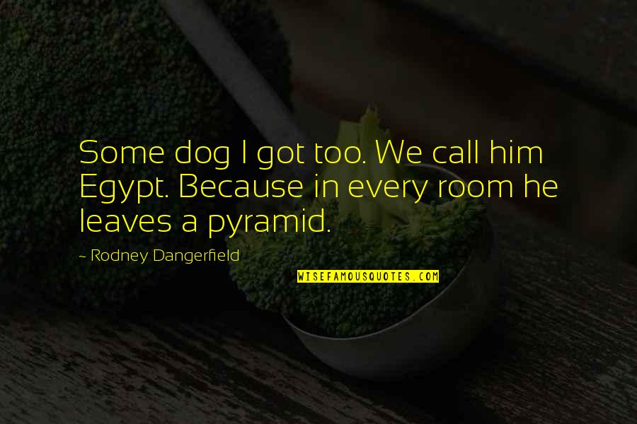 Johel Ramirez Quotes By Rodney Dangerfield: Some dog I got too. We call him