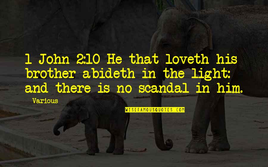 John 10 Quotes By Various: 1 John 2:10 He that loveth his brother