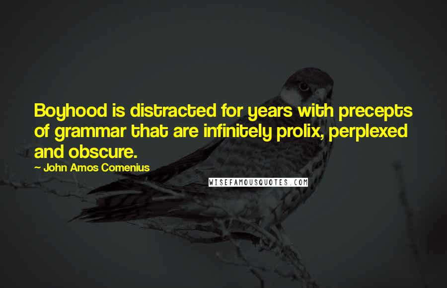 John Amos Comenius quotes: Boyhood is distracted for years with precepts of grammar that are infinitely prolix, perplexed and obscure.