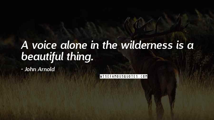 John Arnold quotes: A voice alone in the wilderness is a beautiful thing.