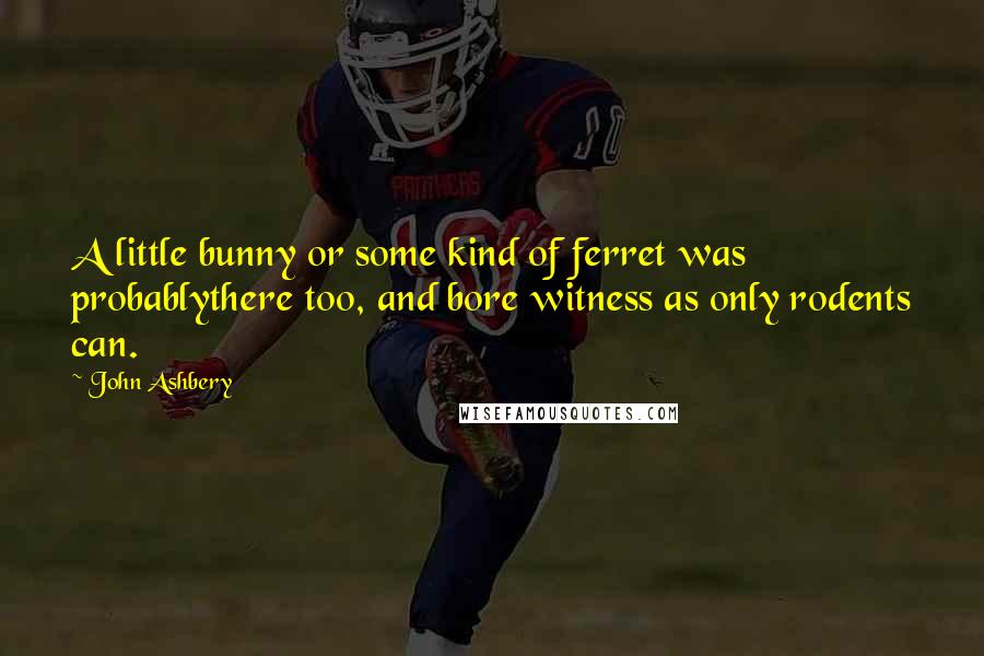 John Ashbery quotes: A little bunny or some kind of ferret was probablythere too, and bore witness as only rodents can.