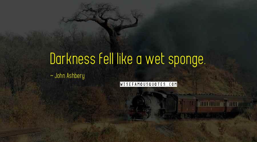 John Ashbery quotes: Darkness fell like a wet sponge.