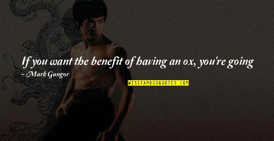 John Banovich Quotes By Mark Gungor: If you want the benefit of having an John Banovich Quotes By Mark Gungor: If you want the benefit of having an
