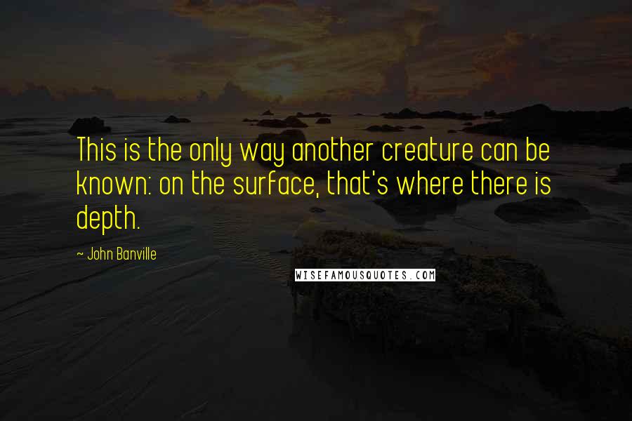 John Banville quotes: This is the only way another creature can be known: on the surface, that's where there is depth.