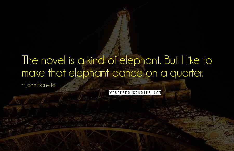 John Banville quotes: The novel is a kind of elephant. But I like to make that elephant dance on a quarter.