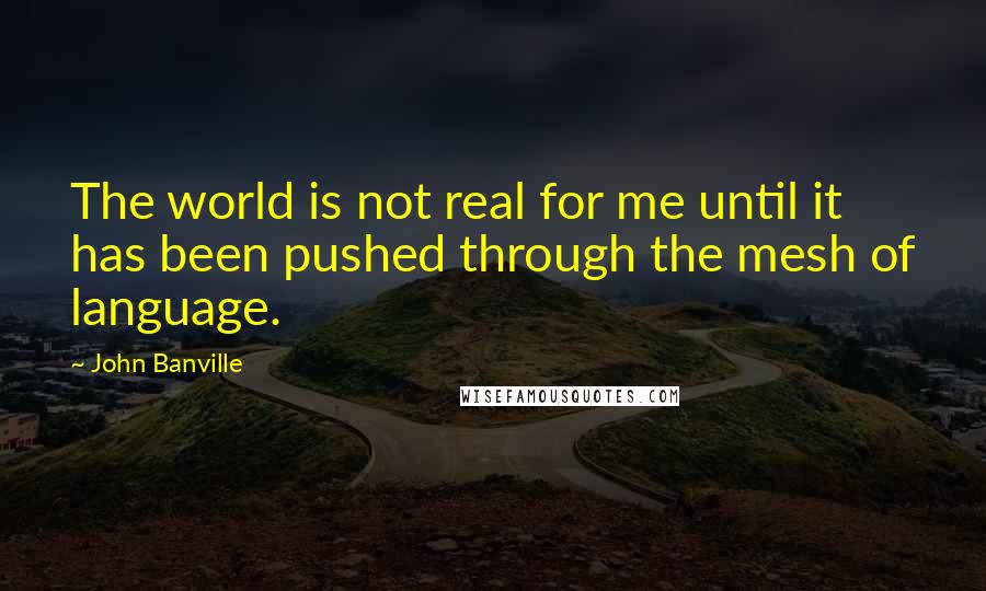 John Banville quotes: The world is not real for me until it has been pushed through the mesh of language.
