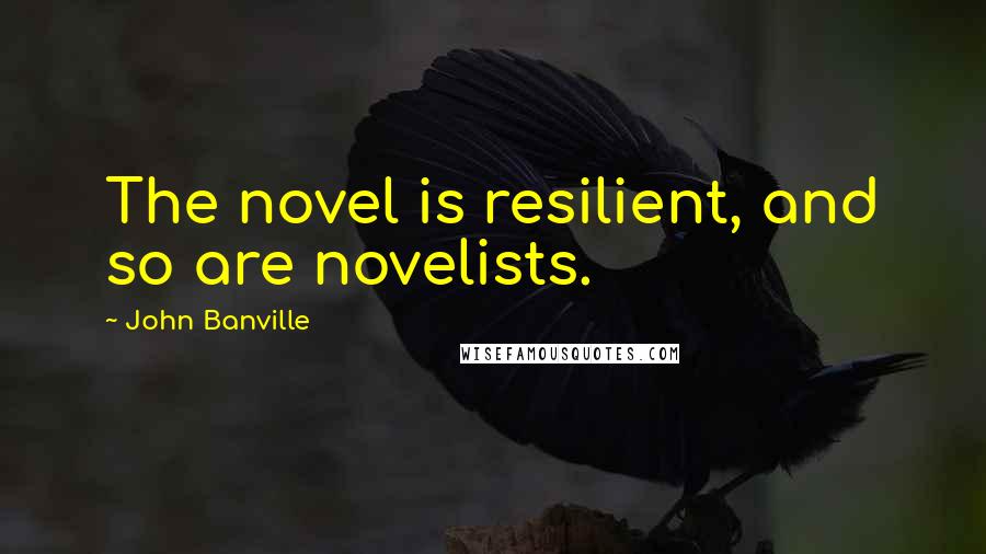 John Banville quotes: The novel is resilient, and so are novelists.